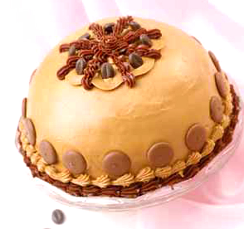 Chocolate Coffee Cake Chocolate Coffee Cake picture